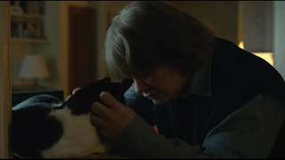 This Cat Deserves an Oscar!